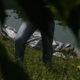 Najbolj nevarne so reke in zapuščene gramoznice
