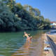 Sora v Goričanah je varna za kopanje