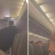 Švedski Aftonbladet objavil video pretepa na letu iz Zagreba