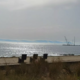 (VIDEO) Mislili so, da prihaja cunami, presenetil jih je kotaleči oblak