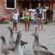 Več slovenskih občin bo dobilo romske centre