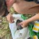 Drobni prišleki, novi izzivi: v našem morju odkrili 70 tujerodnih vrst
