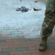 Pri Beli hiši aretirali moškega, ki je zažgal ameriško zastavo