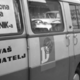 Poletje ’95: najstarejši voznik s fičkom, Soča in Sandra Bullock