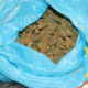 Policist zavohal 18 kilogramov konoplje