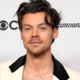 Harry Styles z novico razveselil navdušence