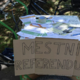 Parkiranje v Ljubljani: »Če bo referendum, bo stal nekaj pod milijonom evrov«