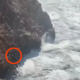 (VIDEO) Tri ure groze: nepozornost ob obali skoraj usoden za družino