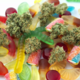 Učinek THC: zakaj uživanje s hrano deluje drugače kot kajenje?