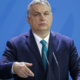 Družinski poslovni imperij Viktorja Orbána: v 16 letih več kot 64 milijonov evrov dividend