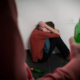 Tokrat na Nizozemskem: Moški omamljali in posiljevali svoje partnerke