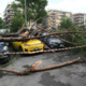 Močno neurje zajelo Rim, tornado podiral drevesa: "Mislil sem, da ne bom preživel"