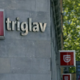 Po rekordnih dobičkih želijo zaposleni v Zavarovalnici Triglav tudi višje plače