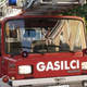 Gorelo grmičevje, podrast in saje