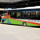 Vožnja z mestnimi avtobusi septembra brezplačna