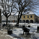 Zimsko spanje Glavnega trga