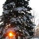 Veseli december je tu, bo vesel tudi za ljubitelje snega?