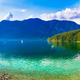 Kako nevarne so cianobakterije, ki so se namnožile v Bohinjskem jezeru? | Dominvrt.si