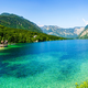 Cianobakterije niso edini razlog za nedavni pogin psov v Bohinju | Dominvrt.si