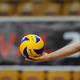 GEN-I Volley presenetljivo v finalu s Calcitom