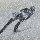 Nočna mora in kalvarija olimpijskega prvaka. Ni mogel zatisniti očesa ...