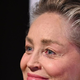 65-letna Sharon Stone poustvarila eno svojih ikoničnih fotografij in osupnila v obleki z razporkom