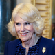Kaj skriva britanska kraljeva družina? Sredi bolezni in škandalov se je z dolžnosti umaknila tudi Camilla, razkrito tudi, kdo jo nadomešča