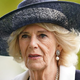 "Mislila sem si - ne morem naprej. Dobesedno sem zmrznila.": To je edina hiša, v katero kraljica Camilla ni hotela vstopiti