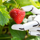 Vabljeni na 7. Agrobiznis Hi-tech konferenco