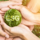 Inflacija vpliva na poslovanje, ne pa na aktivnosti ESG – za zdaj