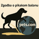 Pikakomovski balon: kako je pets.com z luštno maskoto kužka propadel