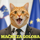 Čipi za mačke, elektrošoki za ljudi