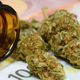 Legalizacija konoplje v Sloveniji: 9,3 milijona € v proračun?