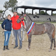 Peternelov šampion med žrebički