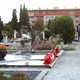 Ciprese nekatere občane tudi motijo