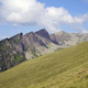 Pobočje, polno borovničevja