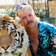 Primer Tiger King: Bizarni misterij tigrov in umora se nadaljuje