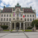 Ljubljanska univerza ustanavlja Center za nevroinformatiko
