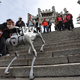 Roboti se že udeležujejo tradicionalnih praznovanj, robotski psi pozdravljajo obiskovalce ob kitajskem novem letu