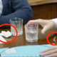 Video: So Zelenskega v zavrnitev mirovnega predloga prepričali zadrogirani voditelji Francije, Britanije in Nemčije?