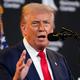 Trump: Kijevu ne bodo zagotovljena varnostna jamstva znotraj Nata
