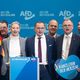 Nekaj tednov pred volitvami umrlo sedem kandidatov AfD