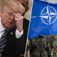 Trump o članicah NATO kot o »malih krompirjih«, ki so izdali ZDA, Rutte pa: »Nato je danes močnejši kot kdaj koli!«