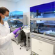 Novartis vlaga 110 milijonov dolarjev v razvoj bioloških zdravil tudi v Sloveniji