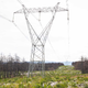 Vlada izpostavlja nižje račune za elektriko za januar