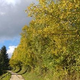 Na Koroškem velika požarna ogroženost naravnega okolja