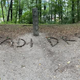 Otroci na delavnici Ljudske univerze Ravne ustvarili naravni grafit v parku