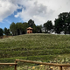 Razgledni stolp dobili tudi v Rogatcu, krožišče pa po novem krasi kip kamnarja (foto)