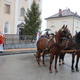 Štefanovo – blagoslov konj v Semiču