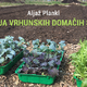 Spletno predavanje: Aljaž Plankl - Vzgoja vrhunskih domačih sadik